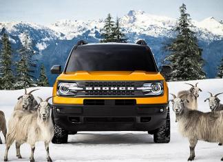 В рекламе Ford Bronco Sport с системой G.O.A.T. снялись горные козлы